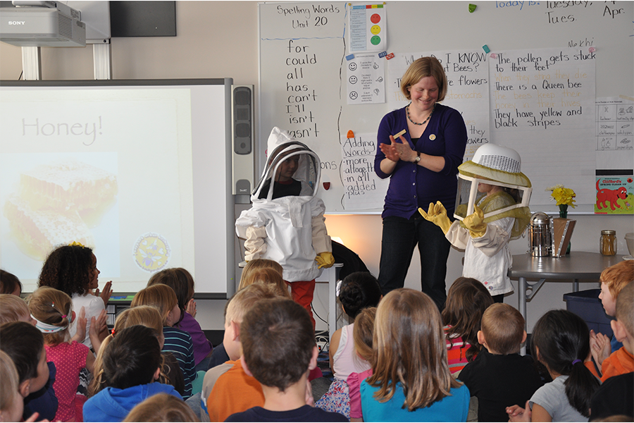 BEES IN THE CLASSROOM
