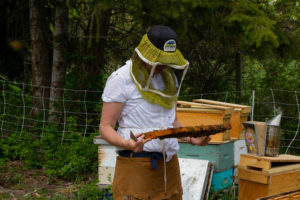 A photo of Eliese Watson checking for open brood, surrounded by beehives and trees.