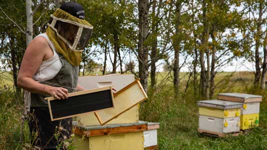 Do you have everything you need to start beekeeping? We've put together this handy equipment list that you can reference throughout the year.