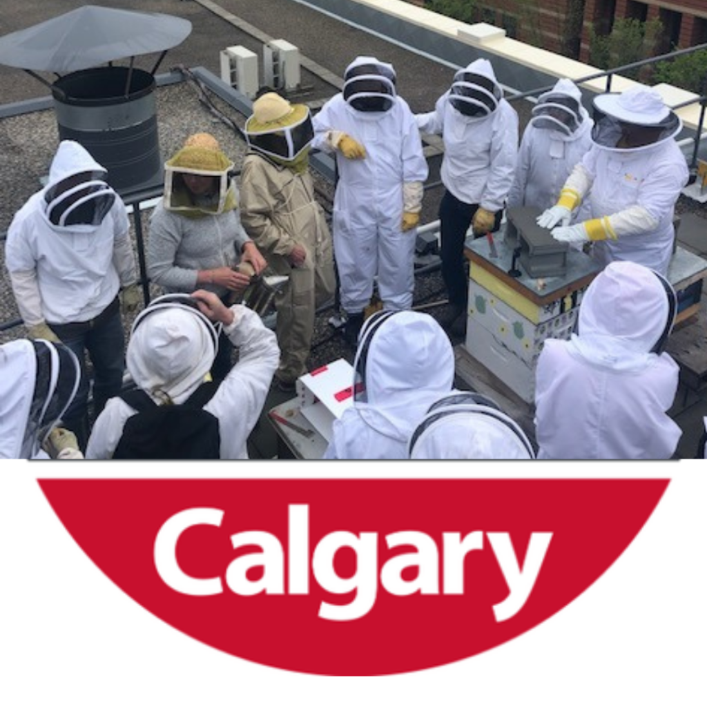 This is for pickup of Nucs in Calgary on June 4th, 2022.
This is our 14th year of the program and partnership with Bill. Since 2009 we have been bringing in honey bees from in Sweetacre Apiaries.  Bill Stagg has been beekeeping and producing queens and colonies of bees since 2005. Bill recently took over John Gates queen breeding operation and is expanding his queen production to 1000 queens this year. An innovative and responsible beekeeper, Bill provides quality nucleus colonies with Canadian reared and selected genetic stocks.

Delivery June 4th to Calgary.

Fees for 2022

HONEY BEE NUCS: $260
5-F WOODEN NUC BOX (YOU KEEP): $22.50
TRANSPORTATION: $12.50
MANAGEMENT FEE*: $30
TOTAL COST PER NUC: $325