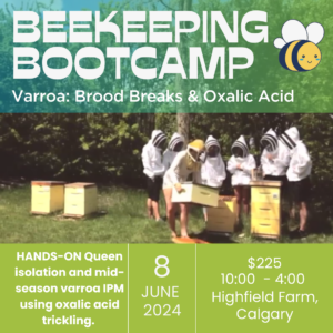 Beekeeping Bootcamp: Varroa, Brood Breaks & Oxalic Acid