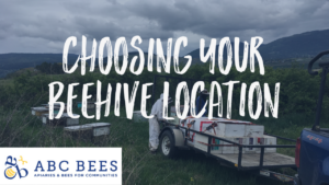 abcbees hive location video