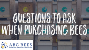 questions to ask when purchasing bees