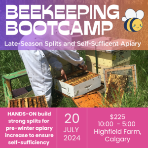 Beekeeping Bootcamp: Late Season Splits and Self-Sufficient Apiary