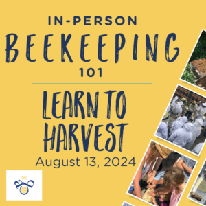 Beekeeping 101- Learn to Harvest