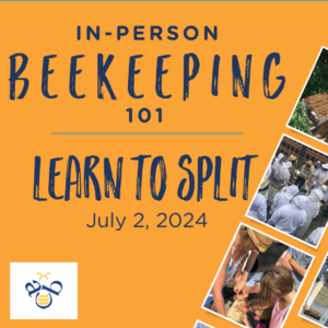 Beekeeping 101- Learn to Split